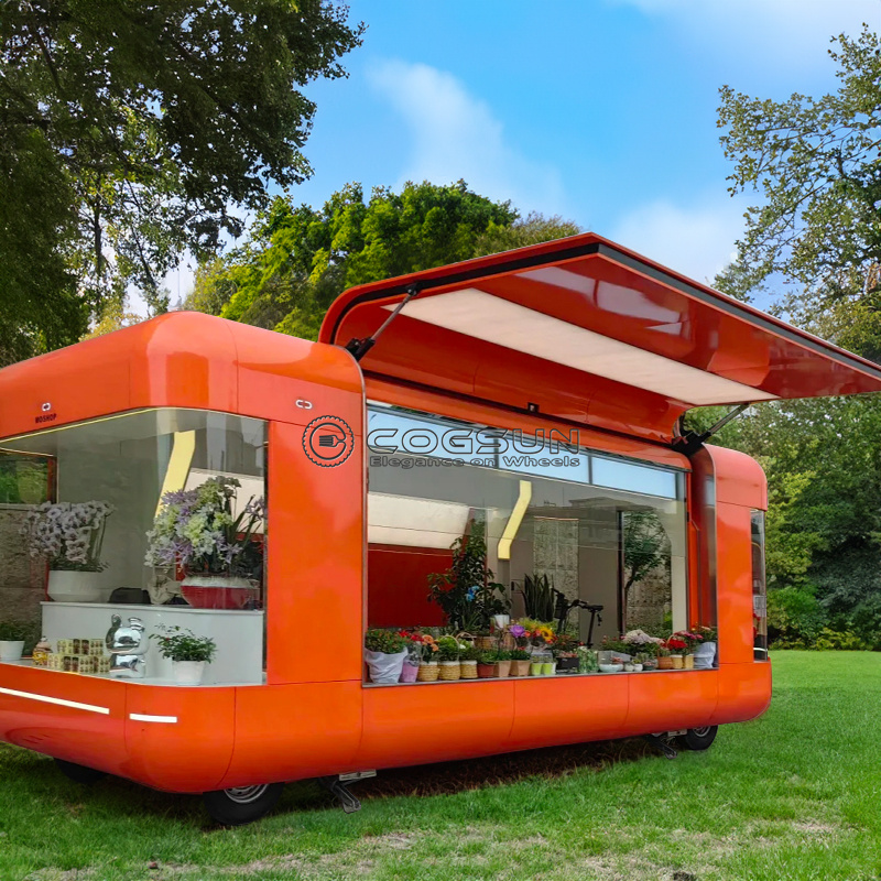 Street Food Snacks - Street Mobile Food Trailer Pizza Van